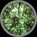 點擊查看 LA-S植物冠層圖像分析儀,冠層分析系統 詳細